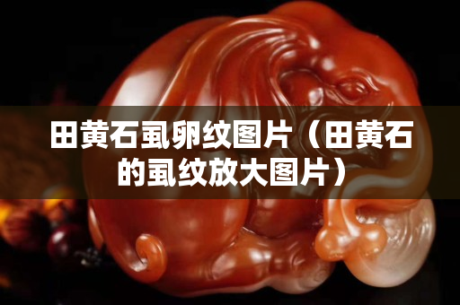 田黄石虱卵纹图片（田黄石的虱纹放大图片）