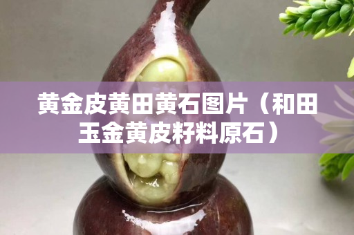 黄金皮黄田黄石图片（和田玉金黄皮籽料原石）