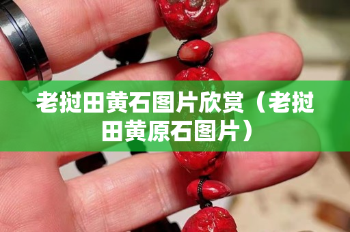老挝田黄石图片欣赏（老挝田黄原石图片）