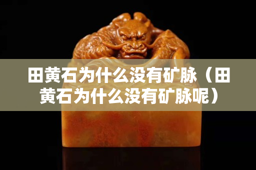 田黄石为什么没有矿脉（田黄石为什么没有矿脉呢）