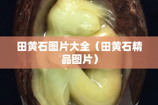田黄石图片大全（田黄石精品图片）