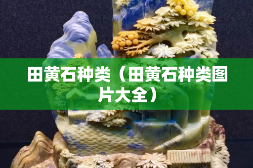 田黄石种类（田黄石种类图片大全）