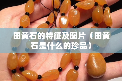 田黄石的特征及图片（田黄石是什么的珍品）