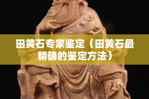 田黄石专家鉴定（田黄石最精确的鉴定方法）