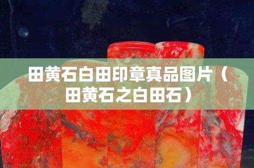 田黄石白田印章真品图片（田黄石之白田石）