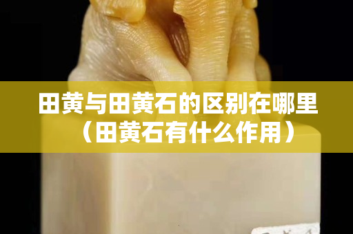 田黄与田黄石的区别在哪里（田黄石有什么作用）