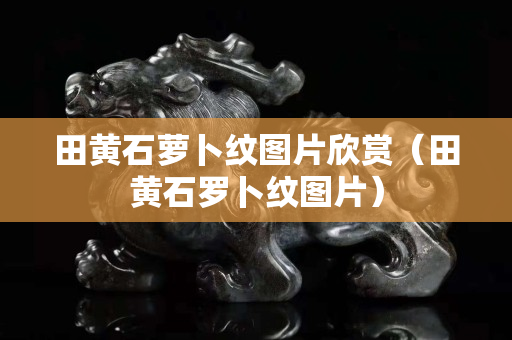 田黄石萝卜纹图片欣赏（田黄石罗卜纹图片）