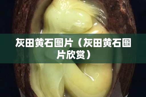 灰田黄石图片（灰田黄石图片欣赏）