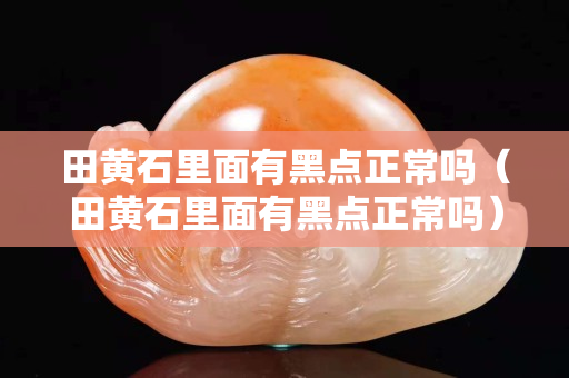 田黄石里面有黑点正常吗（田黄石里面有黑点正常吗）