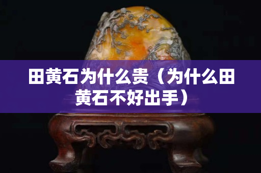 田黄石为什么贵（为什么田黄石不好出手）