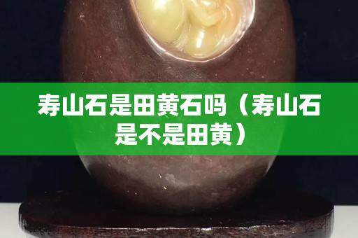 寿山石是田黄石吗（寿山石是不是田黄）