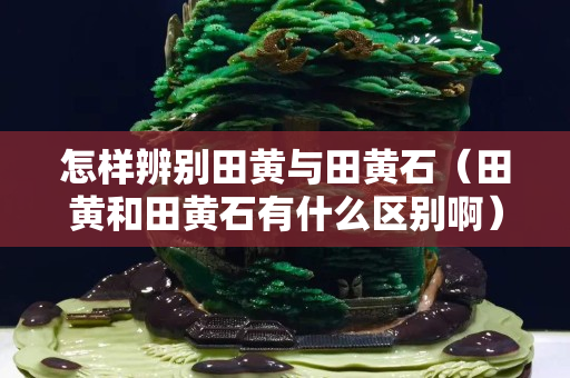 怎样辨别田黄与田黄石（田黄和田黄石有什么区别啊）