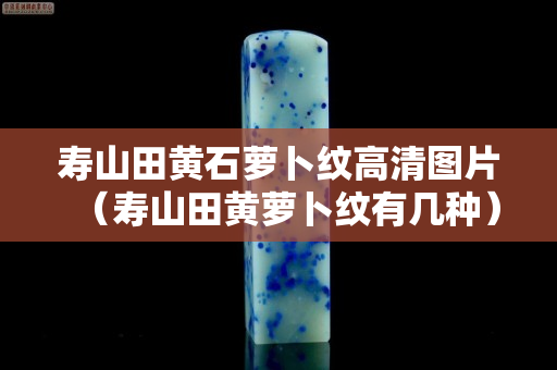 寿山田黄石萝卜纹高清图片（寿山田黄萝卜纹有几种）