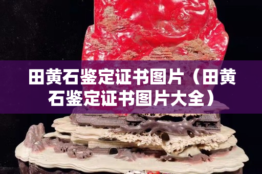 田黄石鉴定证书图片（田黄石鉴定证书图片大全）