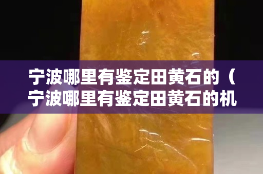 宁波哪里有鉴定田黄石的（宁波哪里有鉴定田黄石的机构）