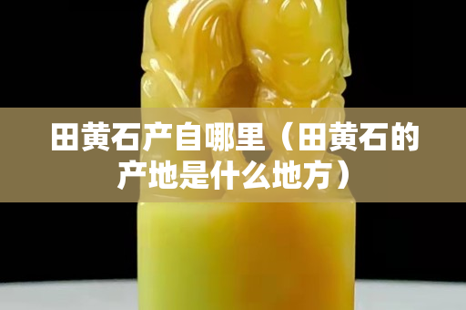 田黄石产自哪里（田黄石的产地是什么地方）
