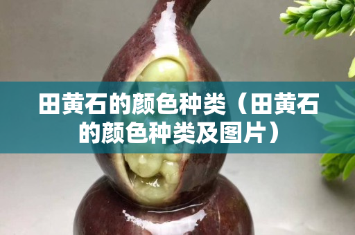 田黄石的颜色种类（田黄石的颜色种类及图片）
