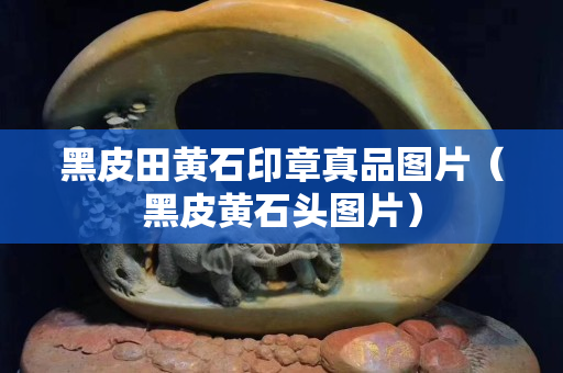 黑皮田黄石印章真品图片（黑皮黄石头图片）
