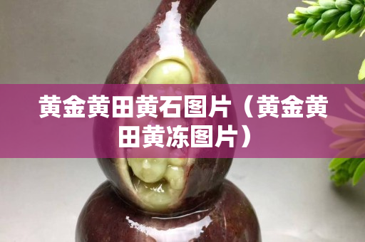 黄金黄田黄石图片（黄金黄田黄冻图片）