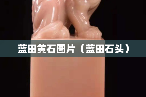 蓝田黄石图片（蓝田石头）