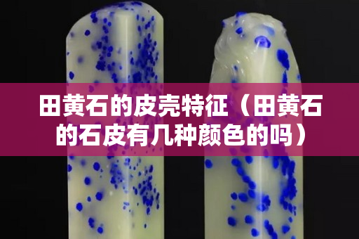 田黄石的皮壳特征（田黄石的石皮有几种颜色的吗）