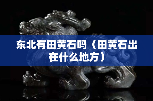 东北有田黄石吗（田黄石出在什么地方）