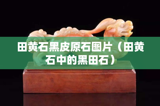田黄石黑皮原石图片（田黄石中的黑田石）