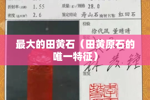 最大的田黄石（田黄原石的唯一特征）