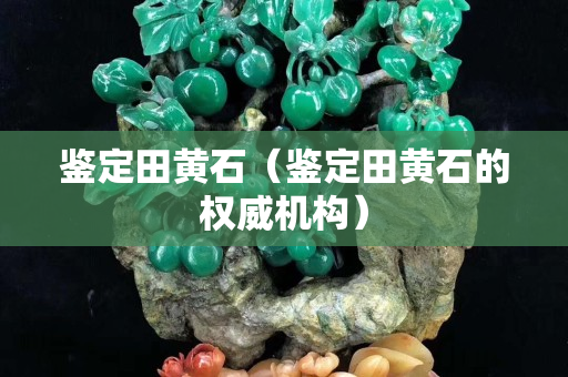 鉴定田黄石（鉴定田黄石的权威机构）