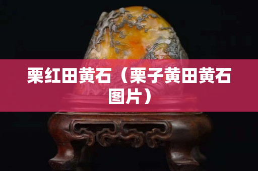 栗红田黄石（栗子黄田黄石图片）