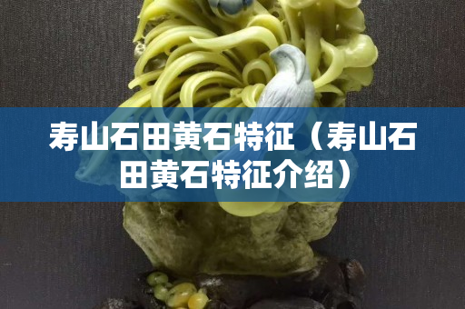 寿山石田黄石特征（寿山石田黄石特征介绍）