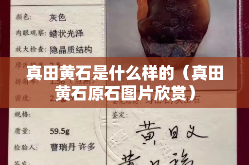真田黄石是什么样的（真田黄石原石图片欣赏）