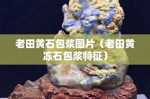 老田黄石包浆图片（老田黄冻石包浆特征）