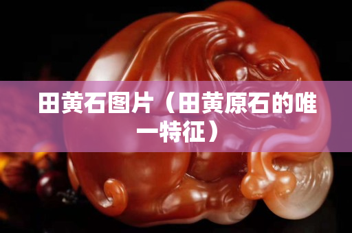 田黄石图片（田黄原石的唯一特征）