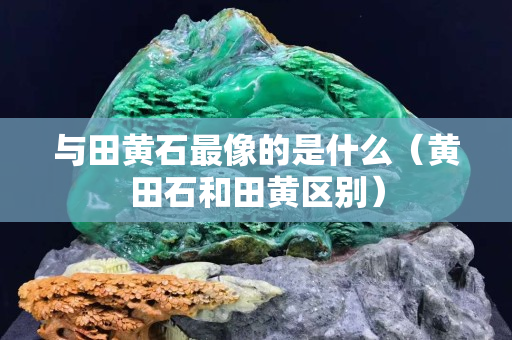 与田黄石最像的是什么（黄田石和田黄区别）