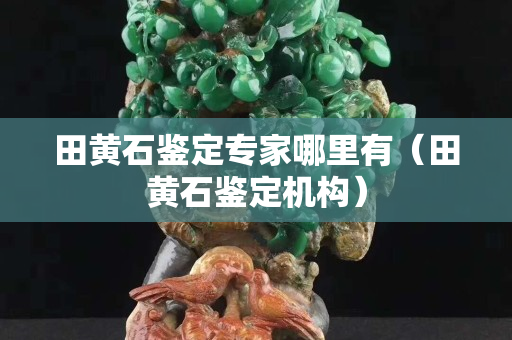 田黄石鉴定专家哪里有（田黄石鉴定机构）