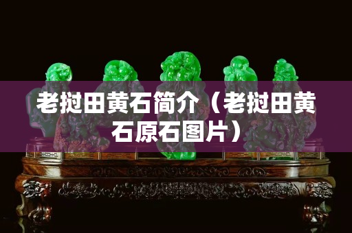 老挝田黄石简介（老挝田黄石原石图片）