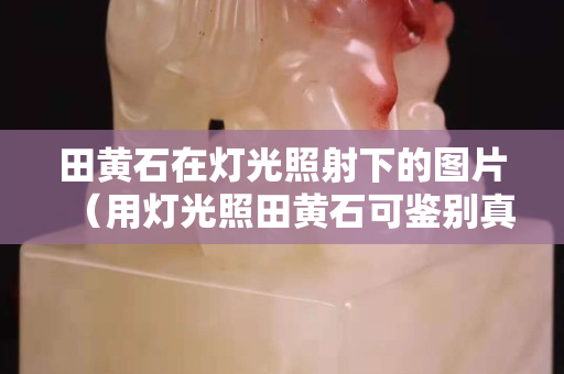 田黄石在灯光照射下的图片（用灯光照田黄石可鉴别真假吗）