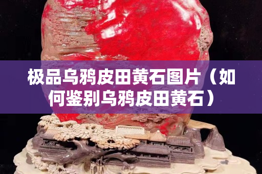 极品乌鸦皮田黄石图片（如何鉴别乌鸦皮田黄石）