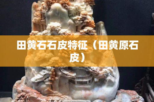 田黄石石皮特征（田黄原石皮）