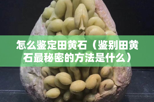 怎么鉴定田黄石（鉴别田黄石最秘密的方法是什么）