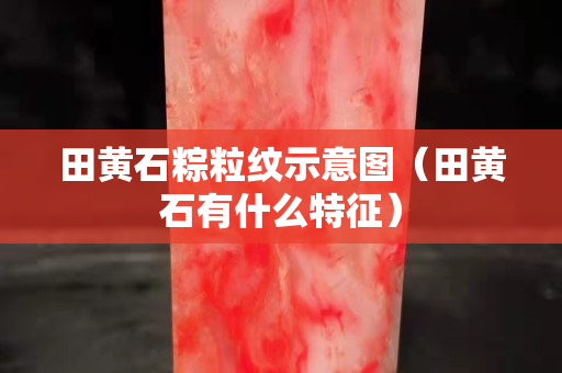 田黄石粽粒纹示意图（田黄石有什么特征）