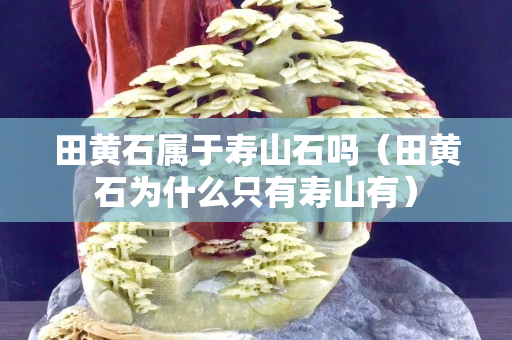 田黄石属于寿山石吗（田黄石为什么只有寿山有）