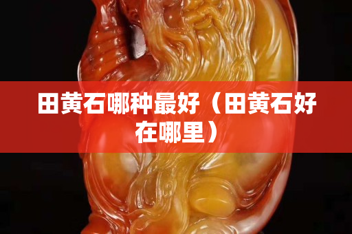 田黄石哪种最好（田黄石好在哪里）