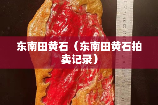 东南田黄石（东南田黄石拍卖记录）