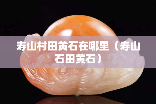 寿山村田黄石在哪里（寿山石田黄石）