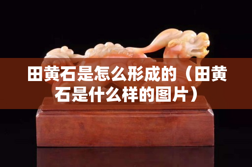 田黄石是怎么形成的（田黄石是什么样的图片）