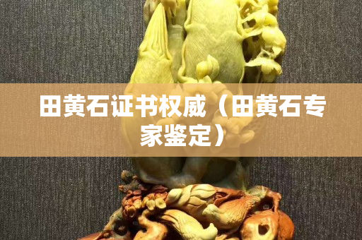 田黄石证书权威（田黄石专家鉴定）