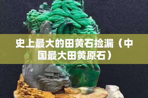 史上最大的田黄石捡漏（中国最大田黄原石）