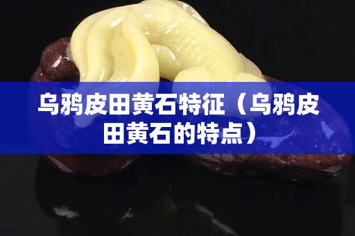 乌鸦皮田黄石特征（乌鸦皮田黄石的特点）